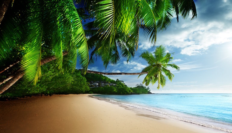 Beaches with coconut palms and turquoise waters