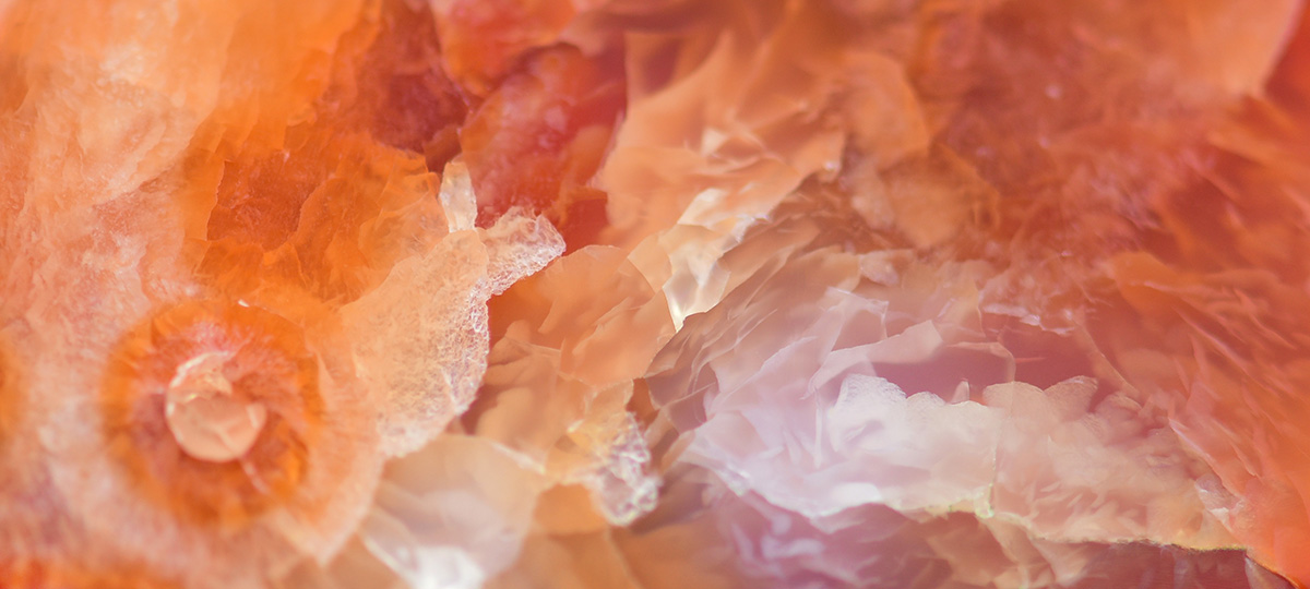 Close-up of an orange agate