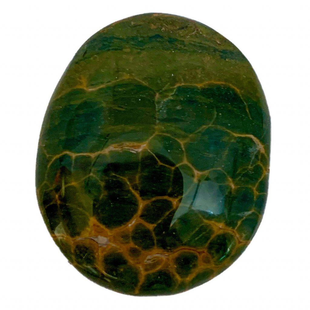 Polished orbicular jasper pebble